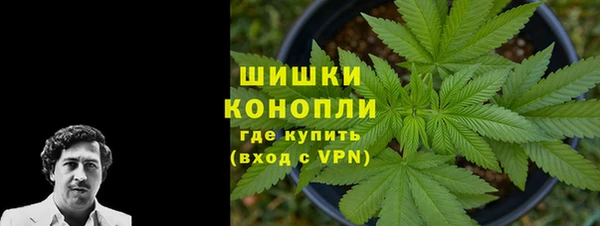 мяу мяу мука Пролетарск
