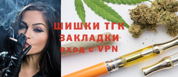 прущие грибы Балахна