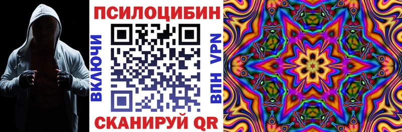 Псилоцибиновые грибы прущие грибы  Куровское 