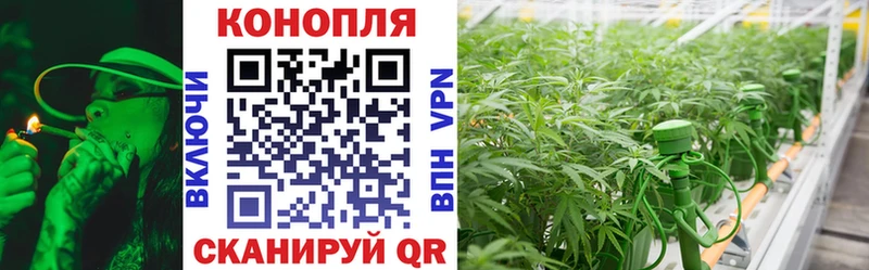 мега ССЫЛКА  Куровское  Каннабис марихуана 